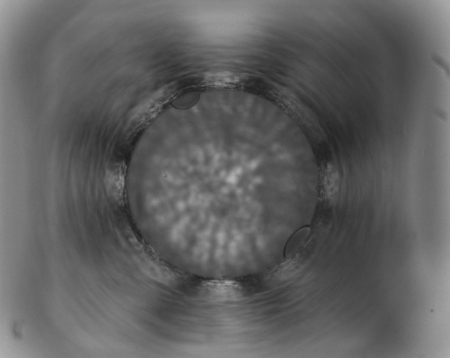 X0000102810427200809021203