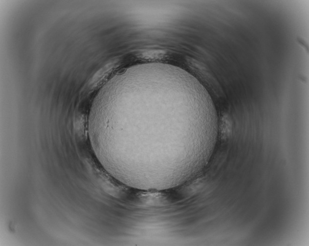 X0000102810428200809021203