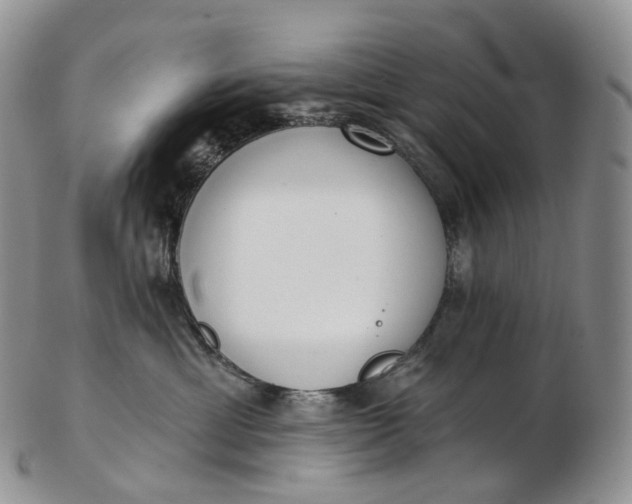 X0000102810429200809021203