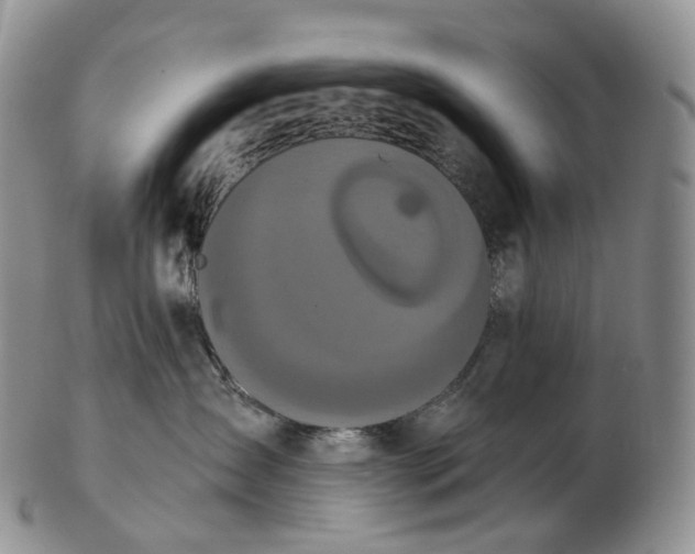 X0000102810431200809021203