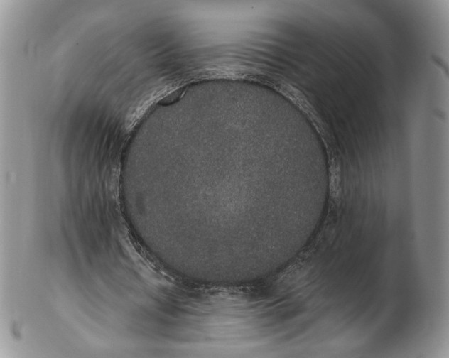 X0000102810434200809021202