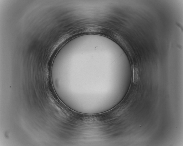 X0000102810435200809021202