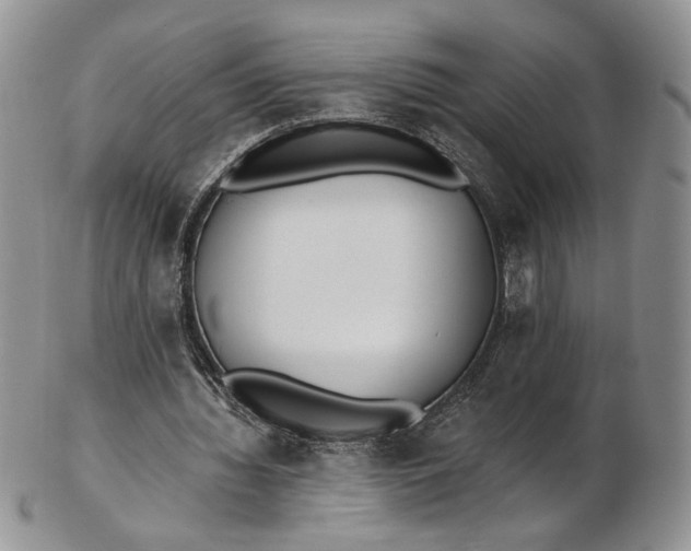 X0000102810436200809021202