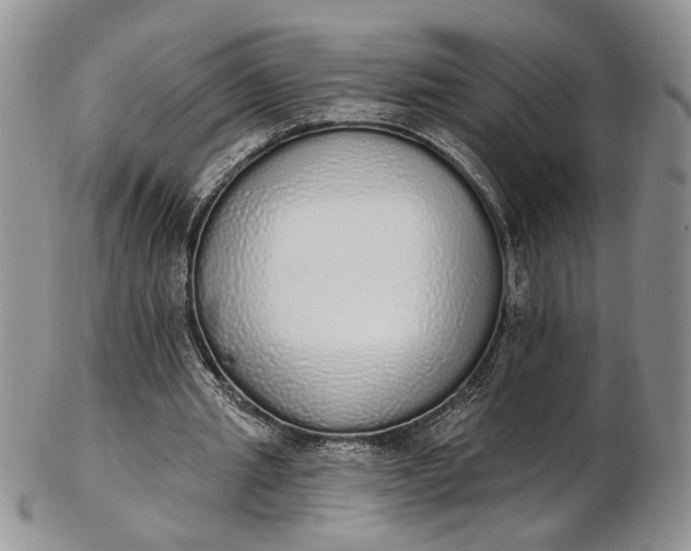 X0000102810437200809021202