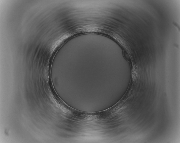 X0000102810438200809021202