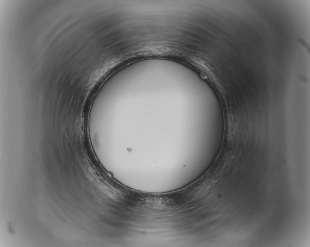 X0000102810439200809021202