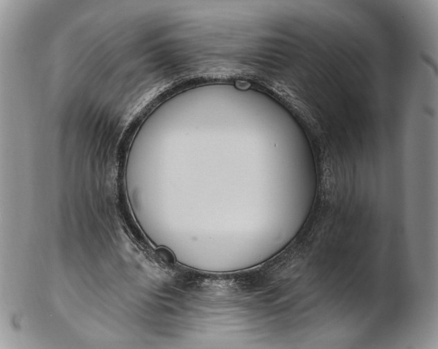 X0000102810440200809021202