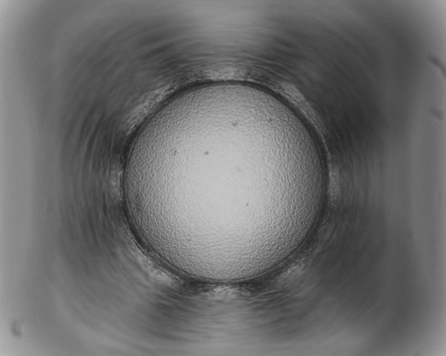 X0000102810441200809021202