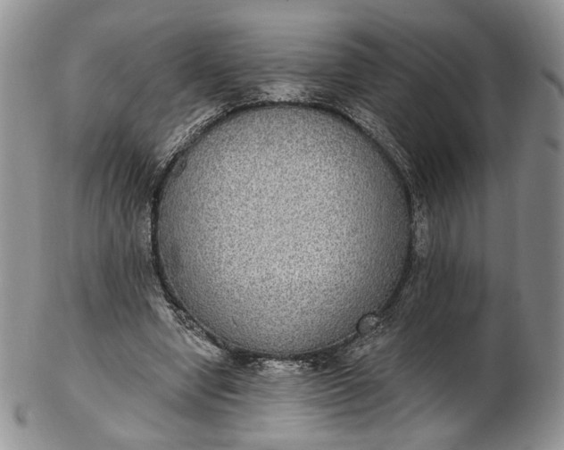 X0000102810442200809021202