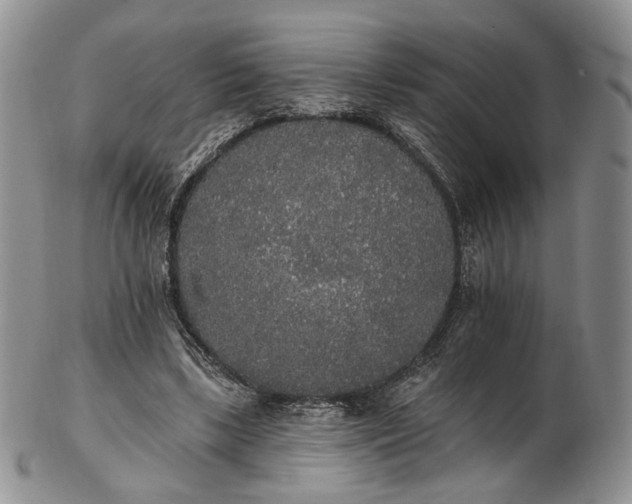 X0000102810443200809021202