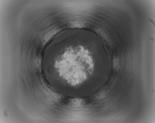 X0000102810444200809021202