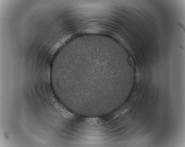 X0000102810446200809021202