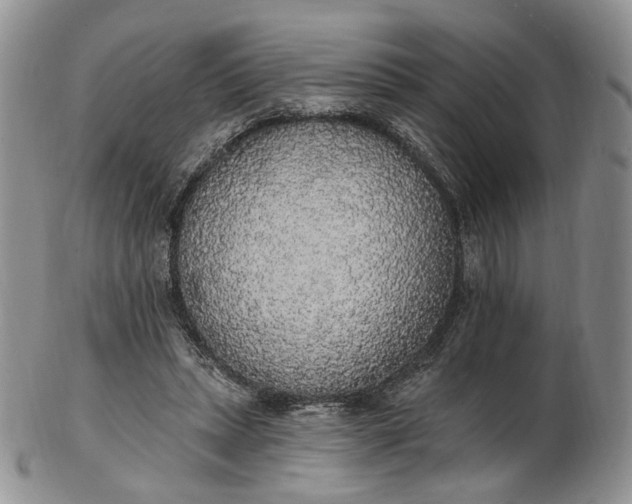 X0000102810447200809021202