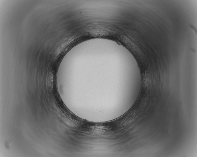 X0000102810448200809021202