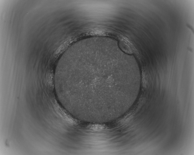 X0000102810449200809021202