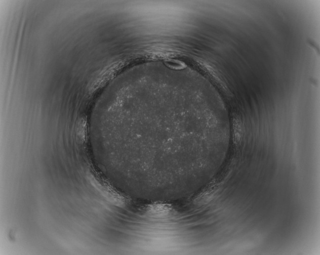 X0000102810451200809021202