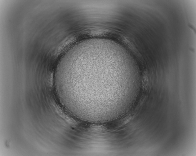 X0000102810454200809021202