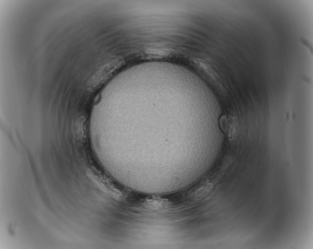 X0000102810455200809021202