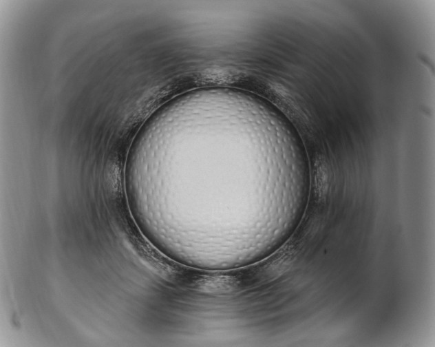 X0000102810459200809021202