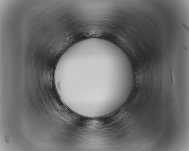 X0000102810460200809021202