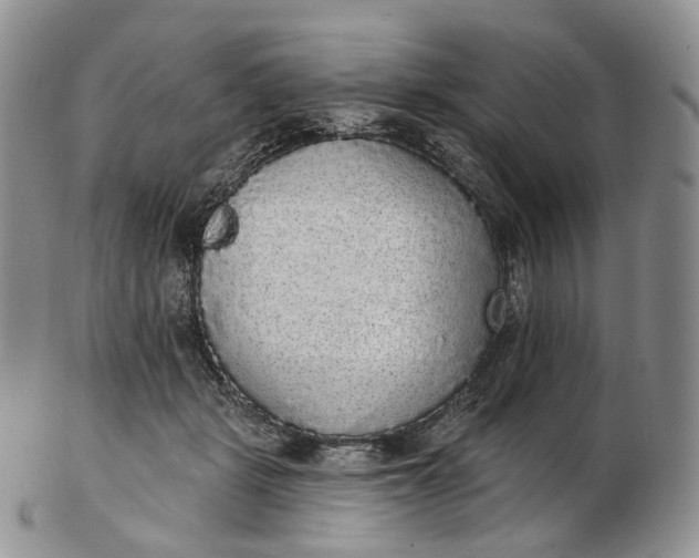 X0000102810461200809021202