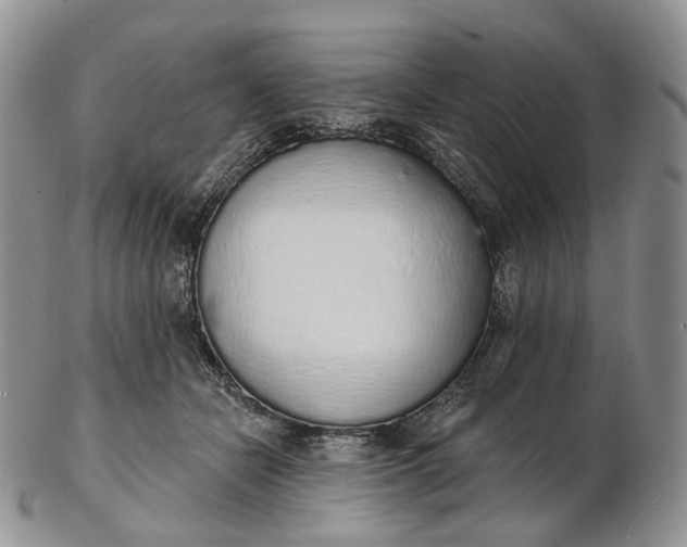 X0000102810462200809021203