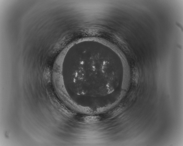 X0000102810465200809021203