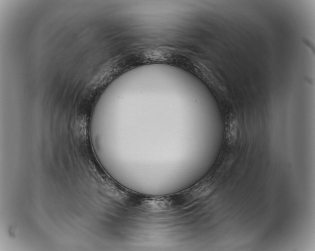 X0000102810466200809021203