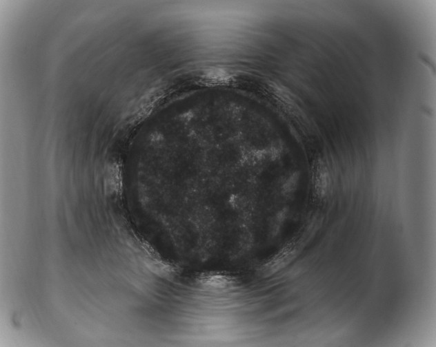 X0000102810467200809021203