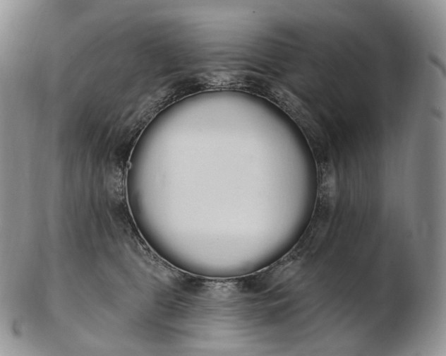 X0000102810469200809021203