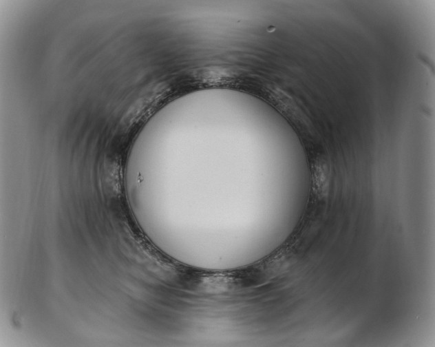 X0000102810470200809021203