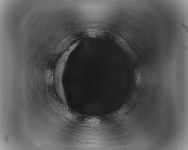 X0000102810471200809021203