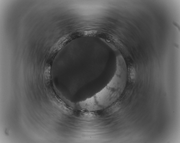 X0000102810475200809021203