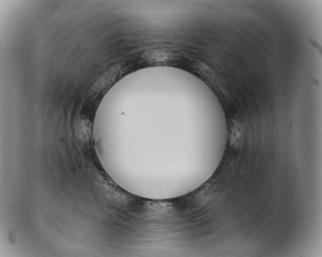 X0000102810476200809021203