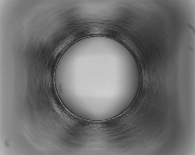 X0000102810482200809021202