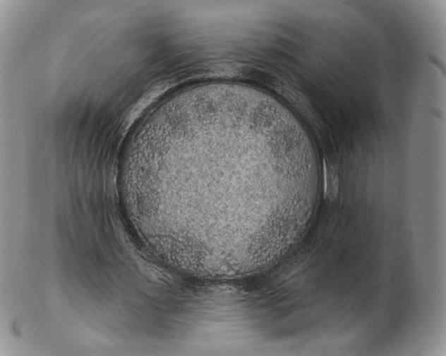 X0000102810483200809021202