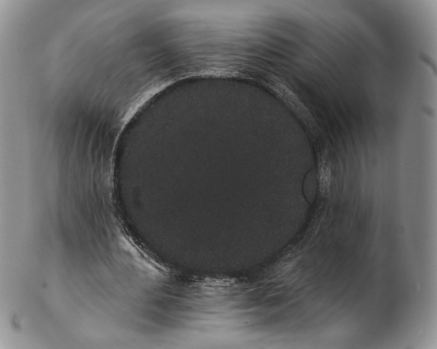 X0000102810484200809021202