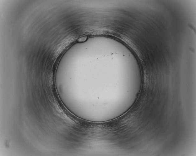 X0000102810485200809021202