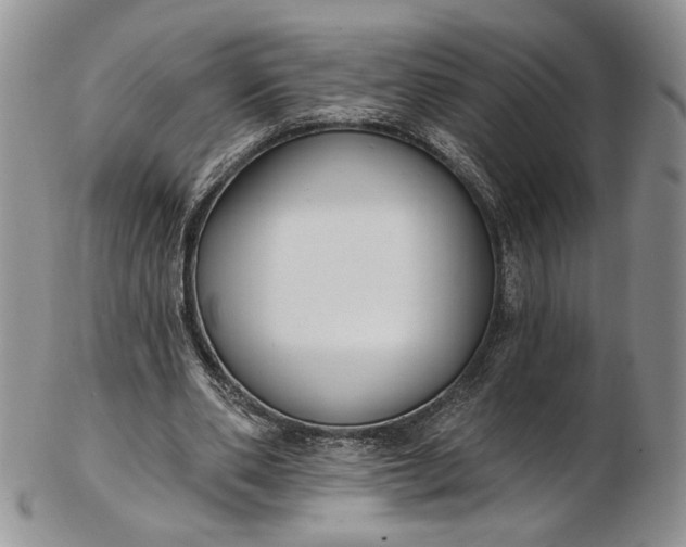 X0000102810486200809021202