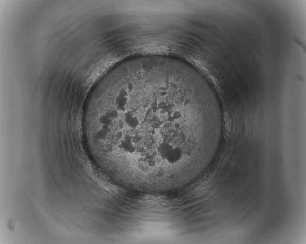 X0000102810487200809021202