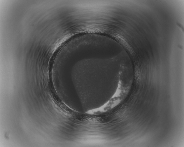 X0000102810488200809021202