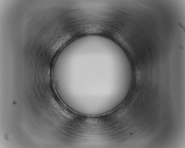 X0000102810490200809021202