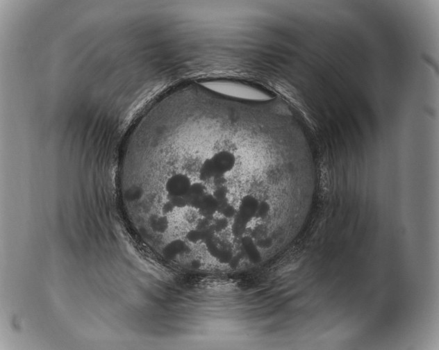 X0000102810491200809021202