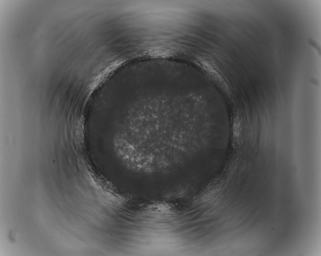 X0000102810492200809021202