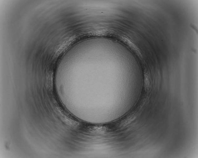 X0000102810493200809021202