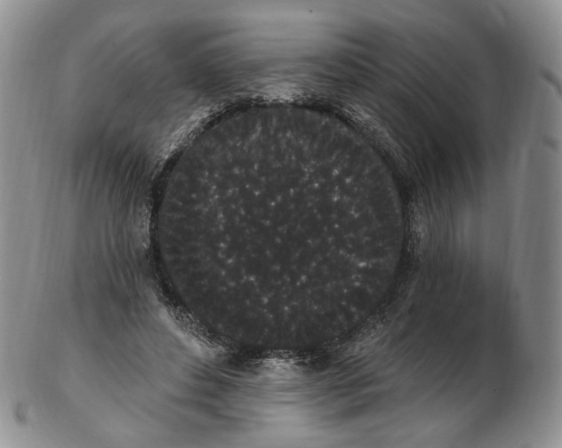 X0000102810496200809021202