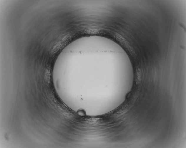 X0000102810497200809021202