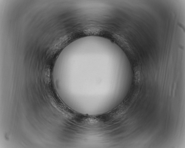 X0000102810498200809021202