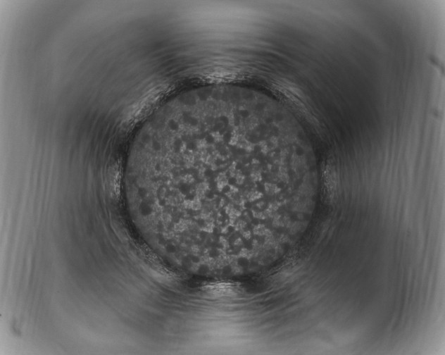 X0000102810499200809021202