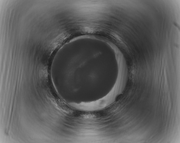 X0000102810500200809021202